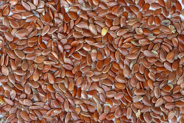 Five Benefits for Feeding Cooked Linseed - Emerald Valley Equine
