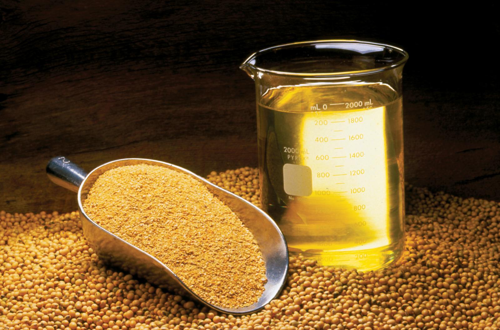 Soybean Oil Meal And Beans Feedipedia