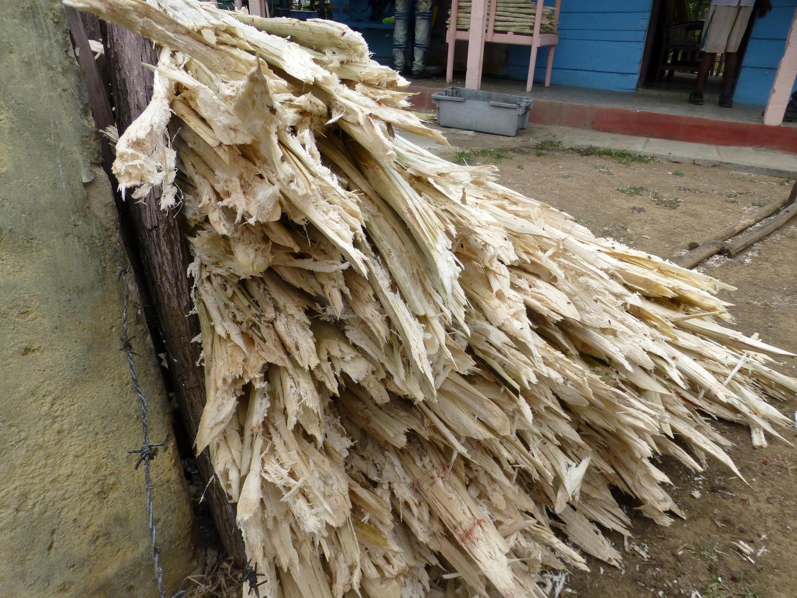 Sugarcane Bagasse Feedipedia