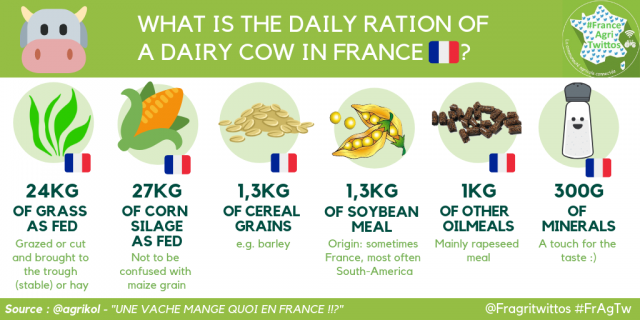 Daily ration of a French dairy cow (Credit: @Agrikol)