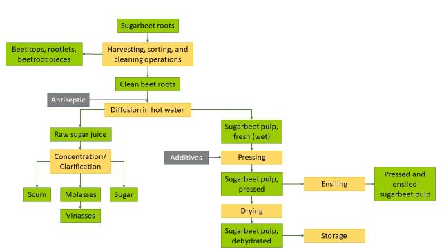 Sugar beet (Beta vulgaris) processing | Feedipedia