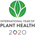 International Year of Plant Health 2020